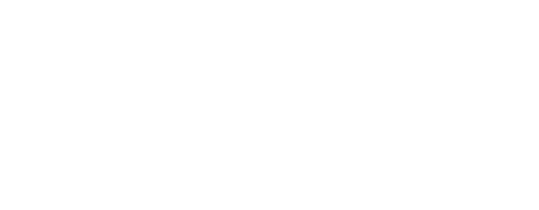 Avalan and Epidemic